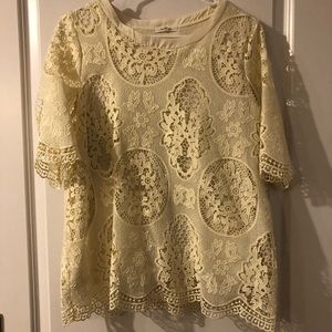 Pleione Ivory Lace Top